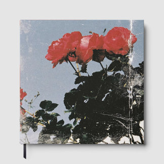 Livre D'or Roses rouges vintage sur un ciel bleu