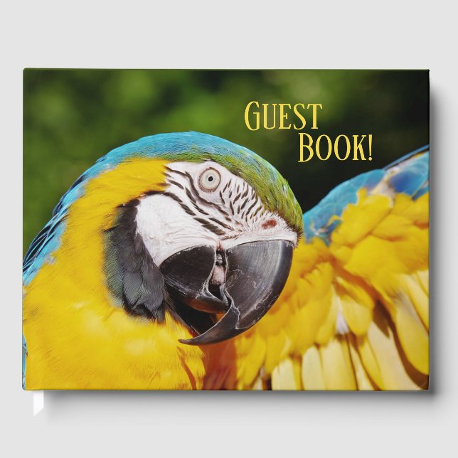 Livre D'or Tête d'un Macaw bleu et jaune (Recto)