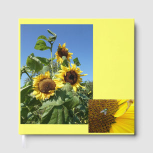Livre d'or Tournesols