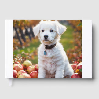 Livre D'or Un mignon petit chiot blanc est assis
