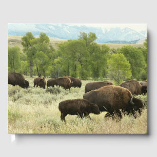 Livre D'or Wyoming Bison Nature Animal Photographie