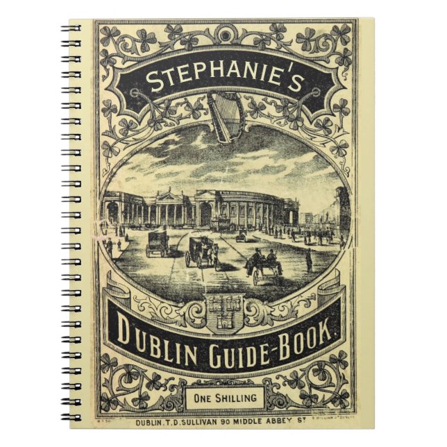 Livre Dublin Guide personnalisé (Devant)