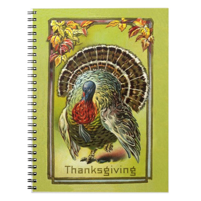 Livre vintage de recette de thanksgiving de (Devant)
