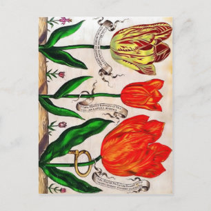 Livres De Fleurs Postcard