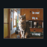 Liza Bean Bitey (TM) Postcard 1<br><div class="desc">Liza Bean Bitey (of the Minneapolis Biteys) is a symmetrically striped,  tiny-pawed catcher of mice and demander of cream,  a cat with a sharp tongue and a penchant for umbrella-ed drinks.</div>