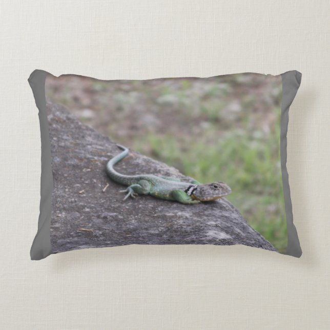 Lizard  accent pillow (Front)