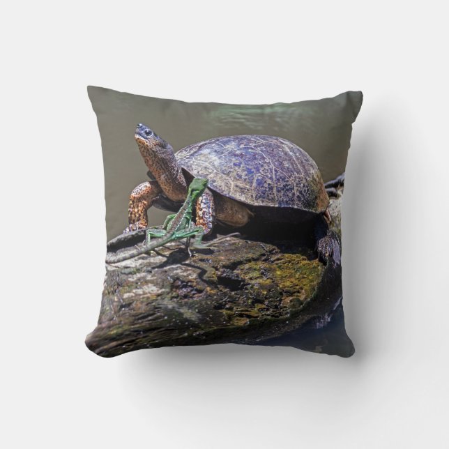 Lizard and River Turtle at Tortuguero - Costa Rica Throw Pillow (Front)