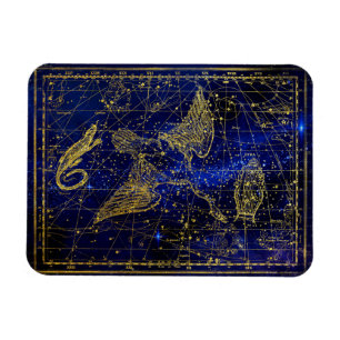 lizard and swan constellation magnet