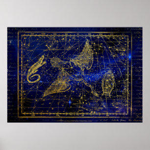 lizard and swan constellation poster
