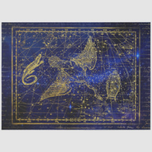lizard and swan constellation tissue paper