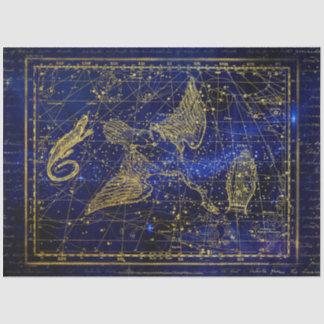 lizard and swan constellation tissue paper