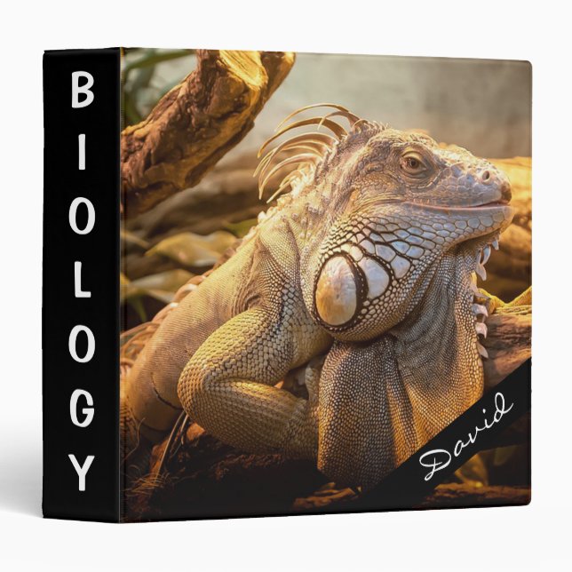 Lizard Binder (Front/Spine)