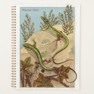Lizard by Verneuil, Lézard, French Reptile Art, Planner
