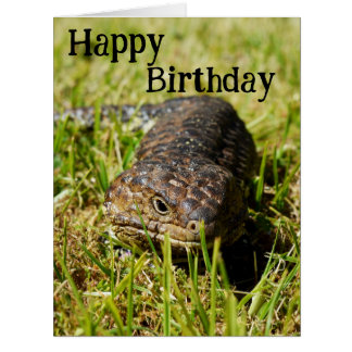 Lizard de langue bleue australienne, Cartes d'anni