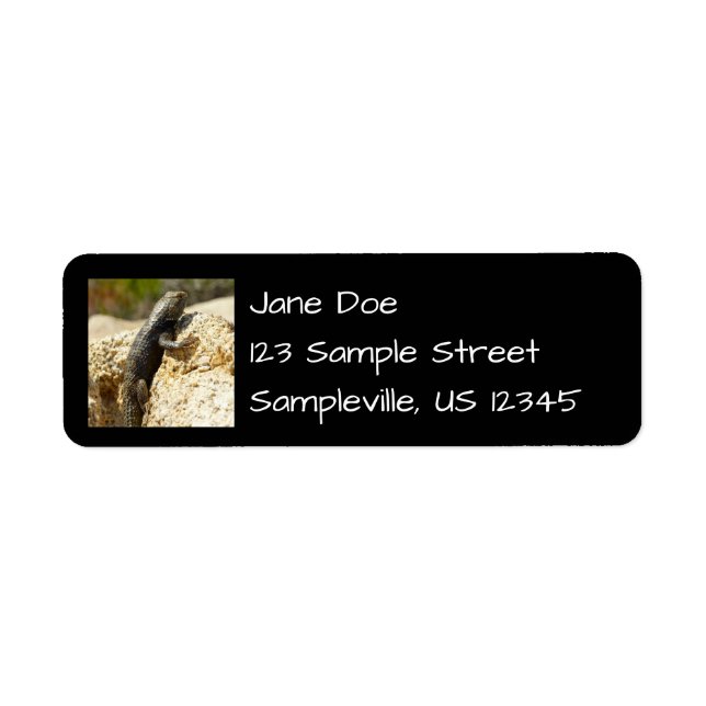 Lizard d'épinette à dos jaune à Joshua Tree (Devant)