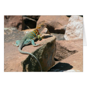 Lizard en carton, Carte bleue Mesa Verde