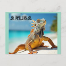 lizard enjoying the beach in aruba