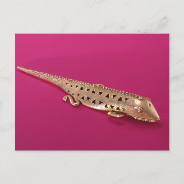 Lizard, from Colombia Postcard (Front)