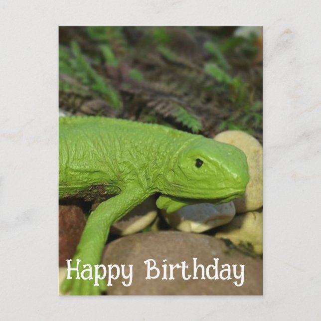 Lizard in the Garden Happy Birthday Postcard (Front)