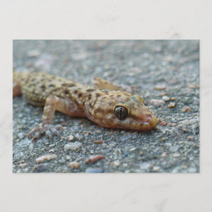 Lizard Invitation