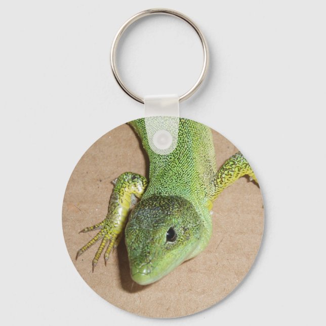 Lizard Keychain (Front)
