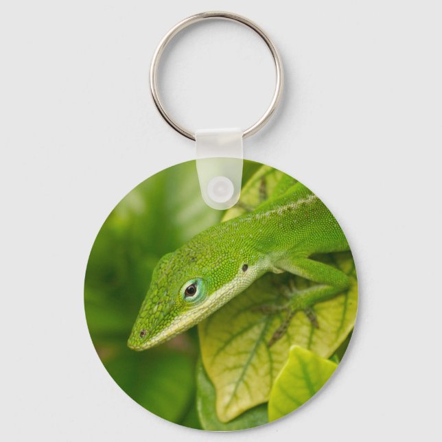Lizard Keychain 01 (Front)