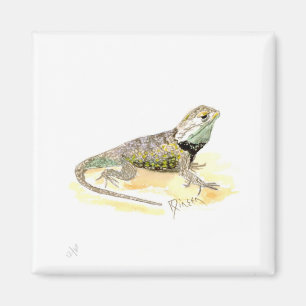 Lizard Magnet