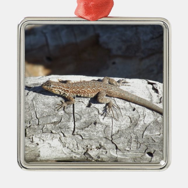Lizard Metal Ornament (Front)