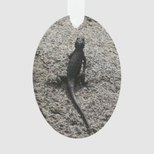 Lizard noir