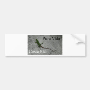 Lizard on Wall Costa Rica Pura Vida Bumper Sticker