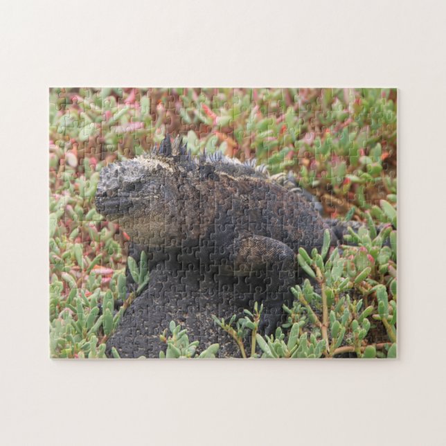 Lizard Puzzle (Horizontal)