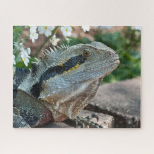 Lizard Reptile Eastern Water Dragon Jigsaw Puzzle
