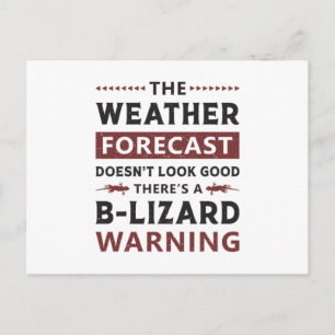 Lizard Reptile Gecko Reptiles Animal Dragon Gift Postcard