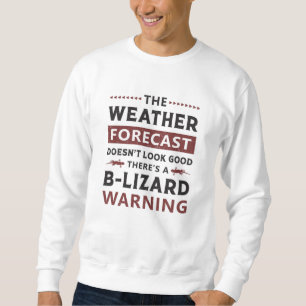 Lizard Reptile Gecko Reptiles Animal Dragon Gift Sweatshirt