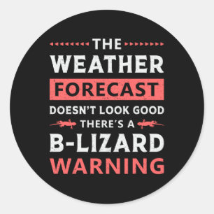 Lizard Reptile Gecko Reptiles Animal Funny Gift Classic Round Sticker
