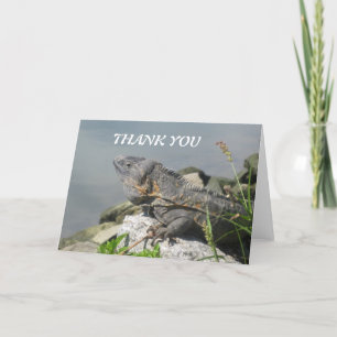 Lizard Rock Thank You Greeting Card