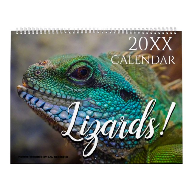 Lizard Thème Mur Calendrier 2025 Cadeau (Protection)