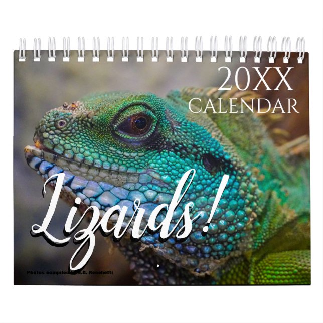 Lizard Thème Mur Calendrier 2025 Cadeau (Protection)