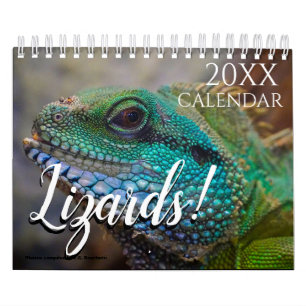 Lizard Thème Mur Calendrier 2025 Cadeau