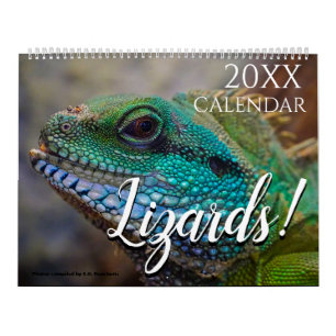Lizard Themed 2025 Wall Calendar Gift