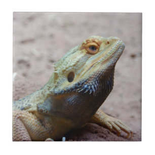 Lizard Tile