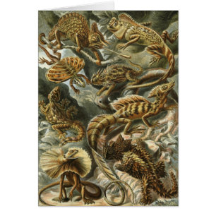 Lizards by Ernst Haeckel Vintage Lacertilia Animal