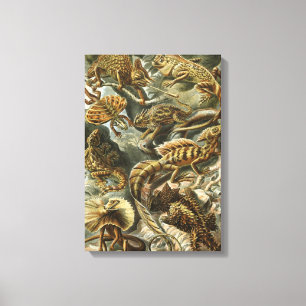Lizards by Ernst Haeckel Vintage Lacertilia Animal Canvas Print