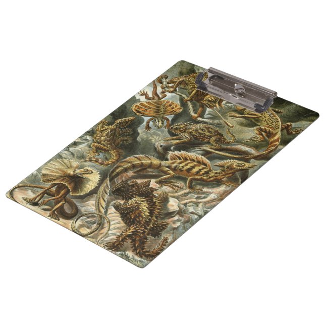 Lizards by Ernst Haeckel Vintage Lacertilia Animal Clipboard (Angled)