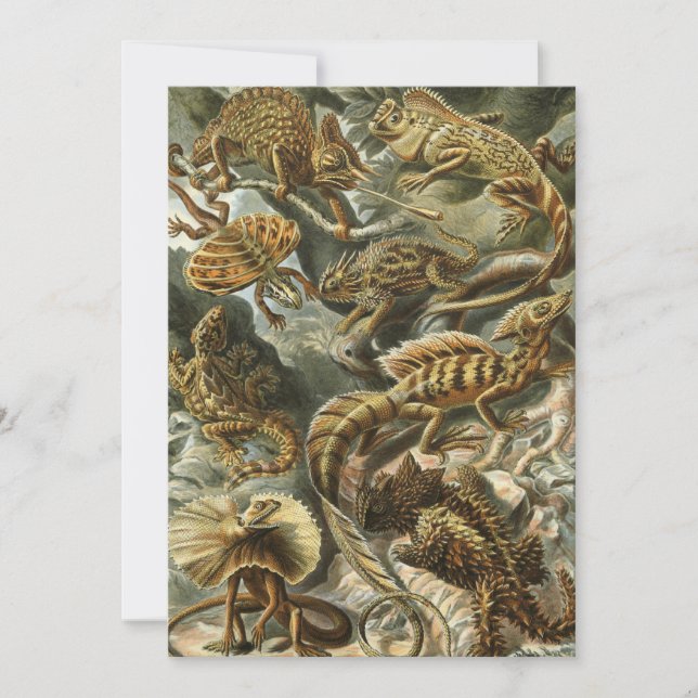 Lizards by Ernst Haeckel Vintage Lacertilia Animal Invitation (Front)
