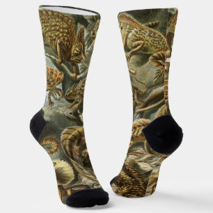 Lizards by Ernst Haeckel Vintage Lacertilia Animal Socks