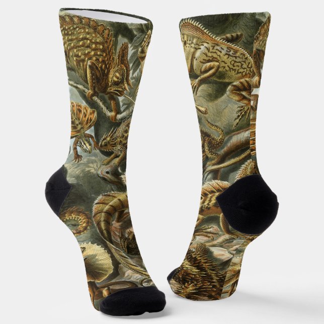 Lizards by Ernst Haeckel Vintage Lacertilia Animal Socks (Angled)