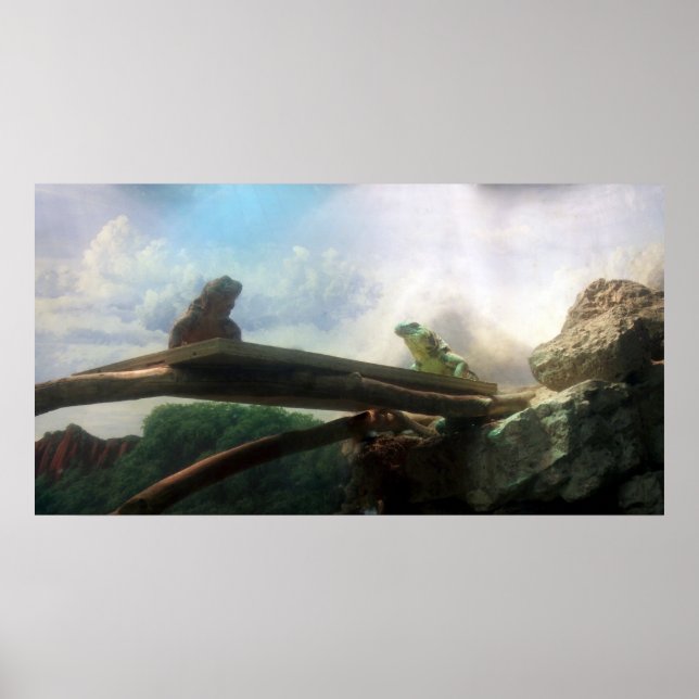 Lizards Face Off  Poster / Print (Front)