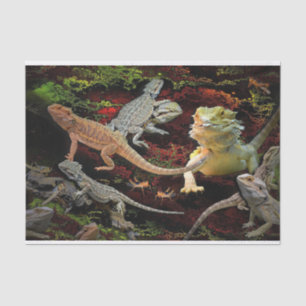 lizards galore tissue paper