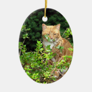 Lizzie, the cat, in the Front Yard Ceramic Ornament